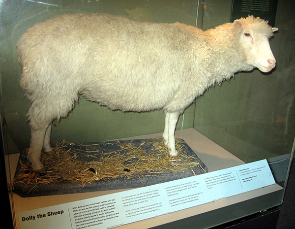 クローン羊Dolly